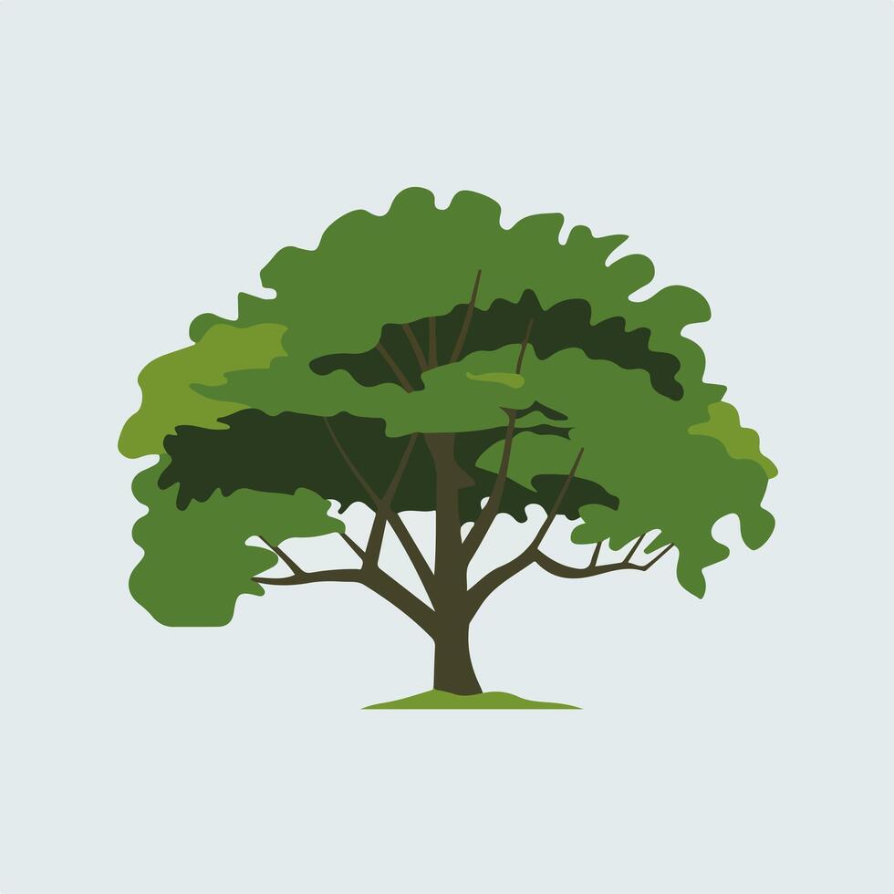 A simple tree with green leaves on a white background vector