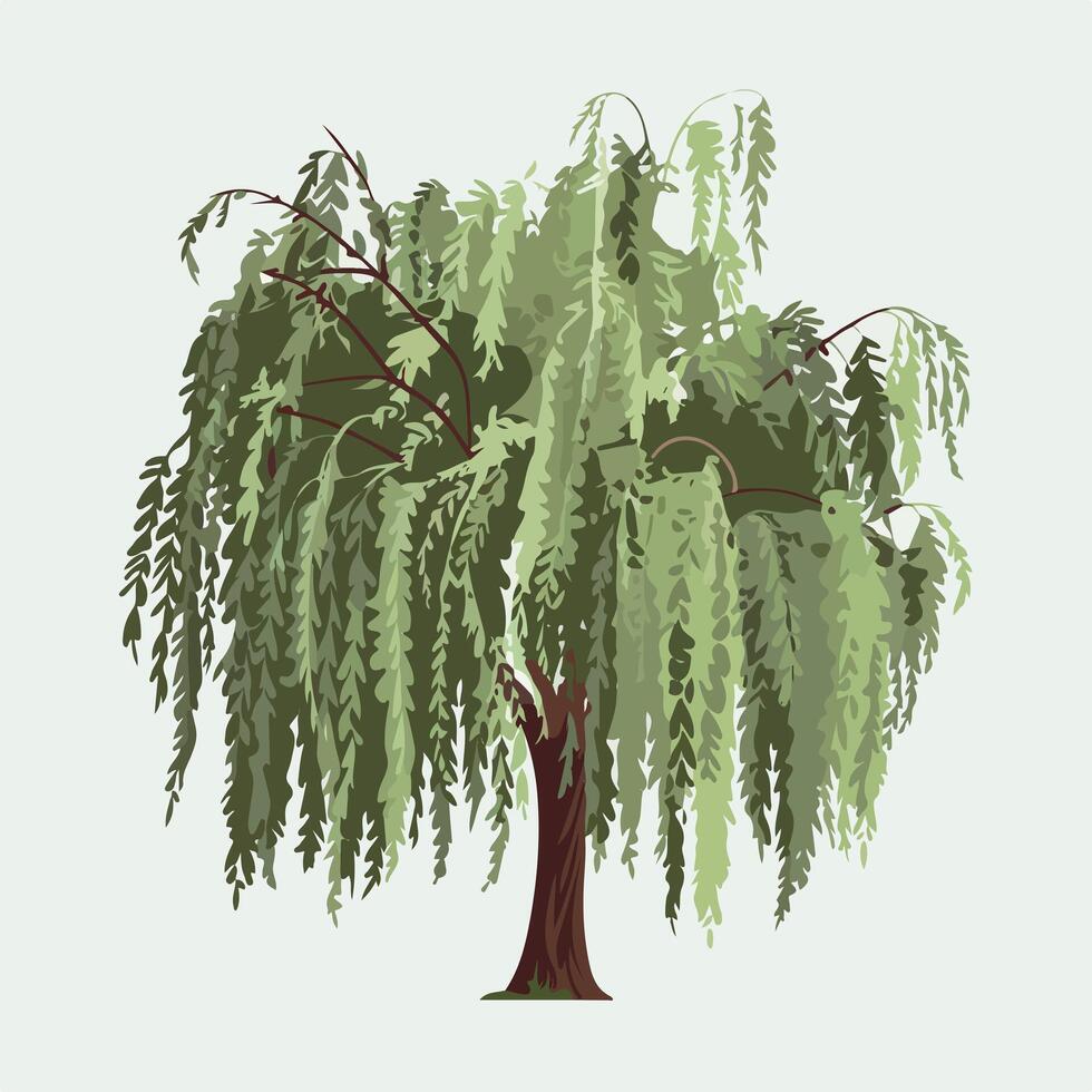 A Flat-Style willow tree vector