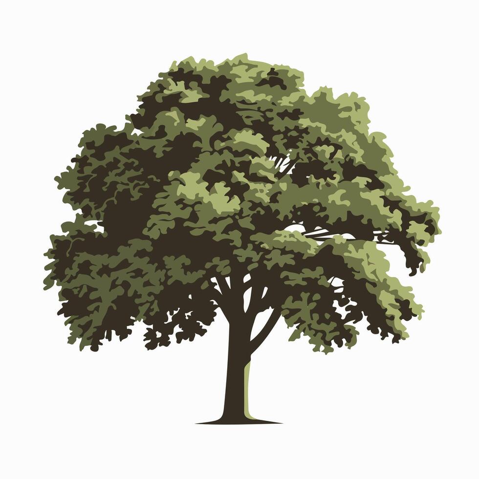 A tree with leaves on it is shown vector