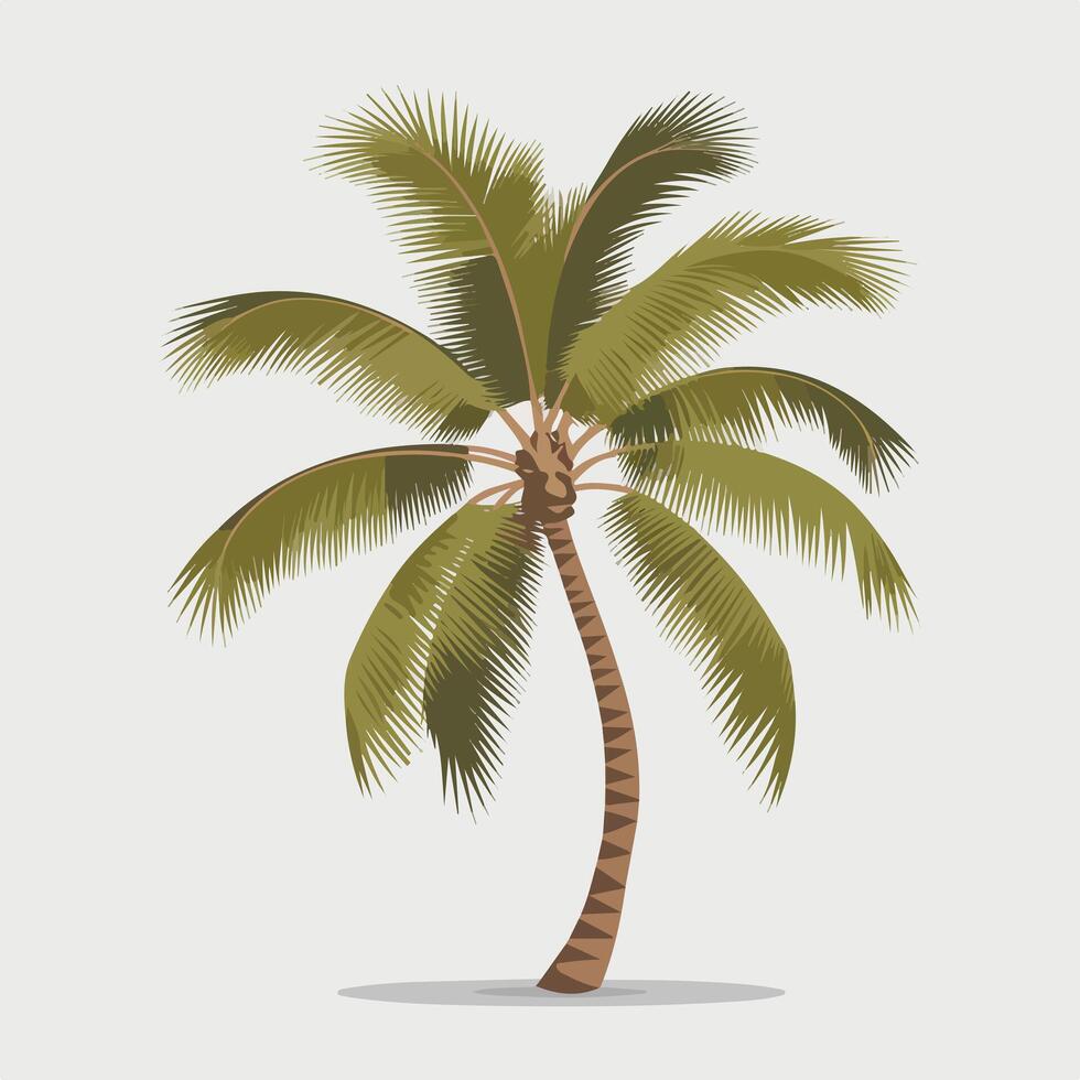 illustration of a palm tree isolated on a white background vector