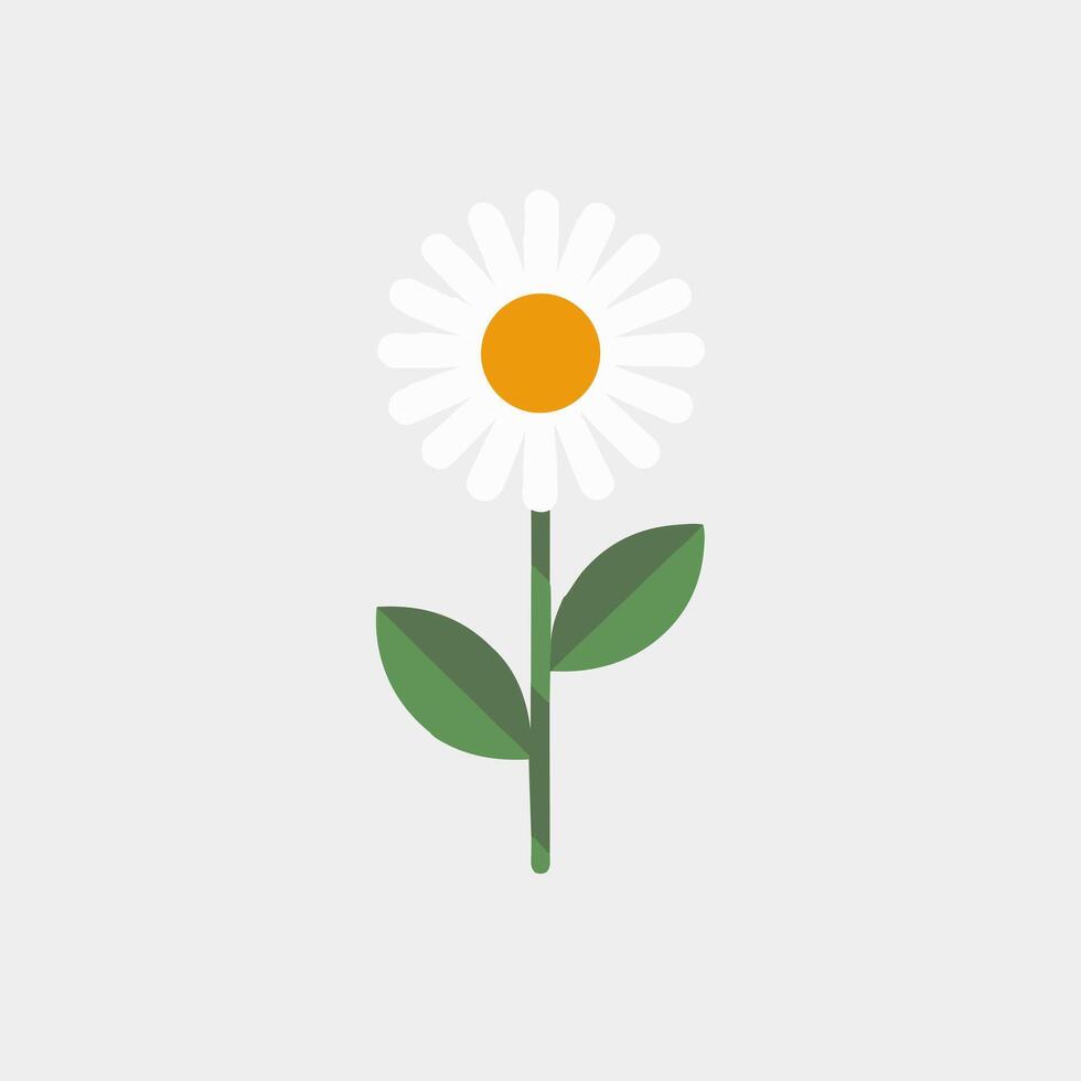 A white daisy with green leaves on a white background vector