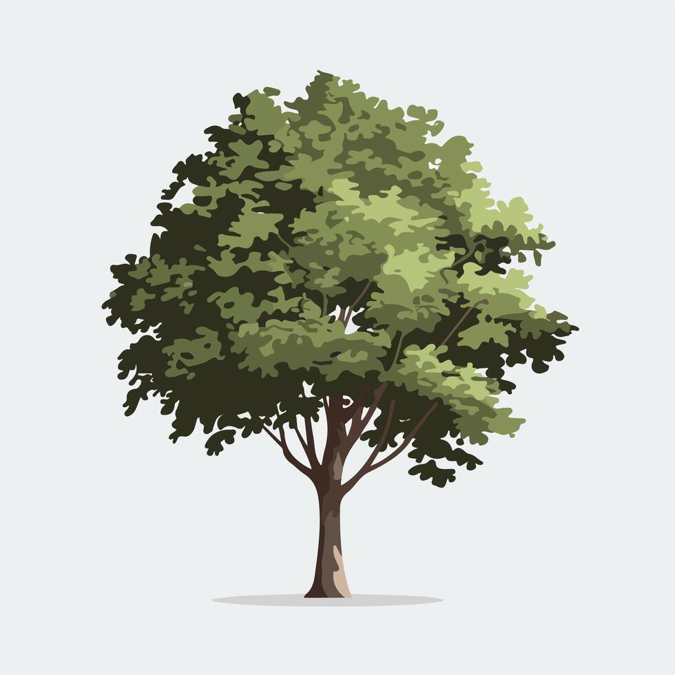 A tree is shown on a white background vector