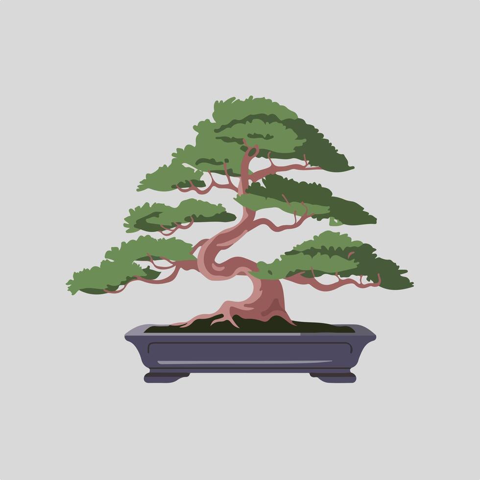 Serene Bonsai Tree Isolated on White vector