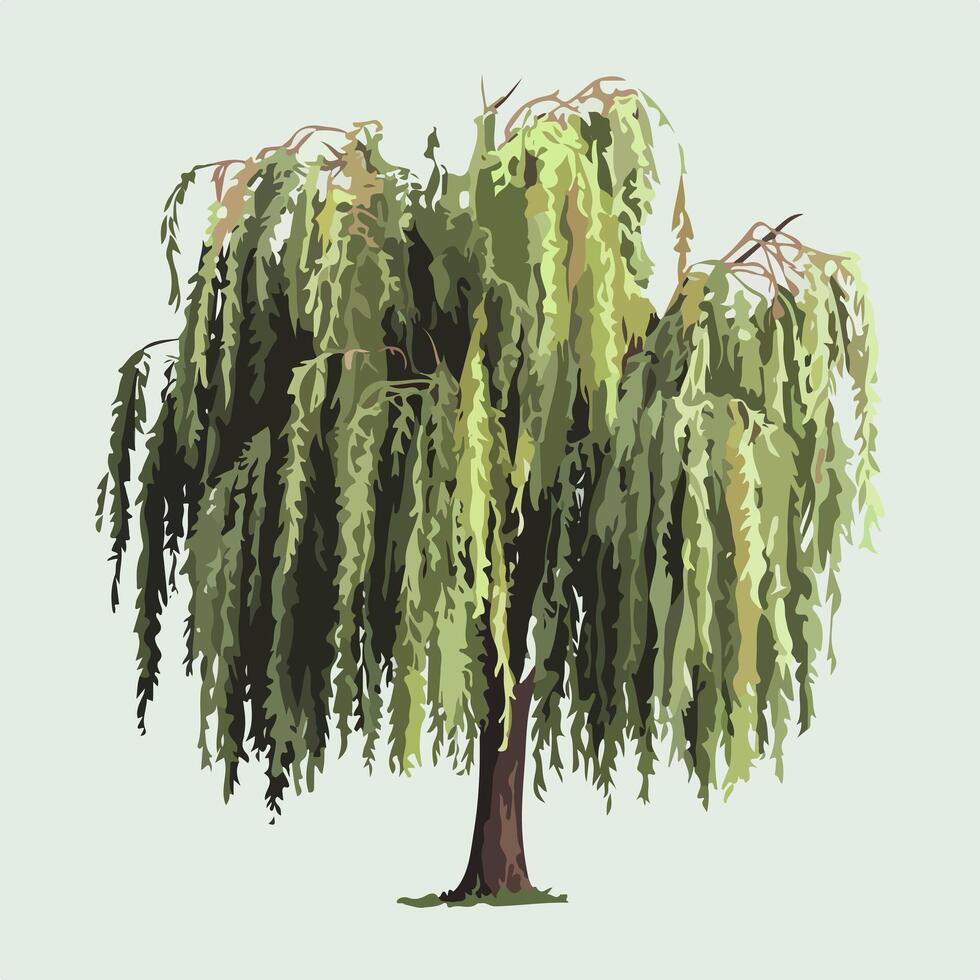 Minimalist Willow Tree Illustration on a White Canvas vector