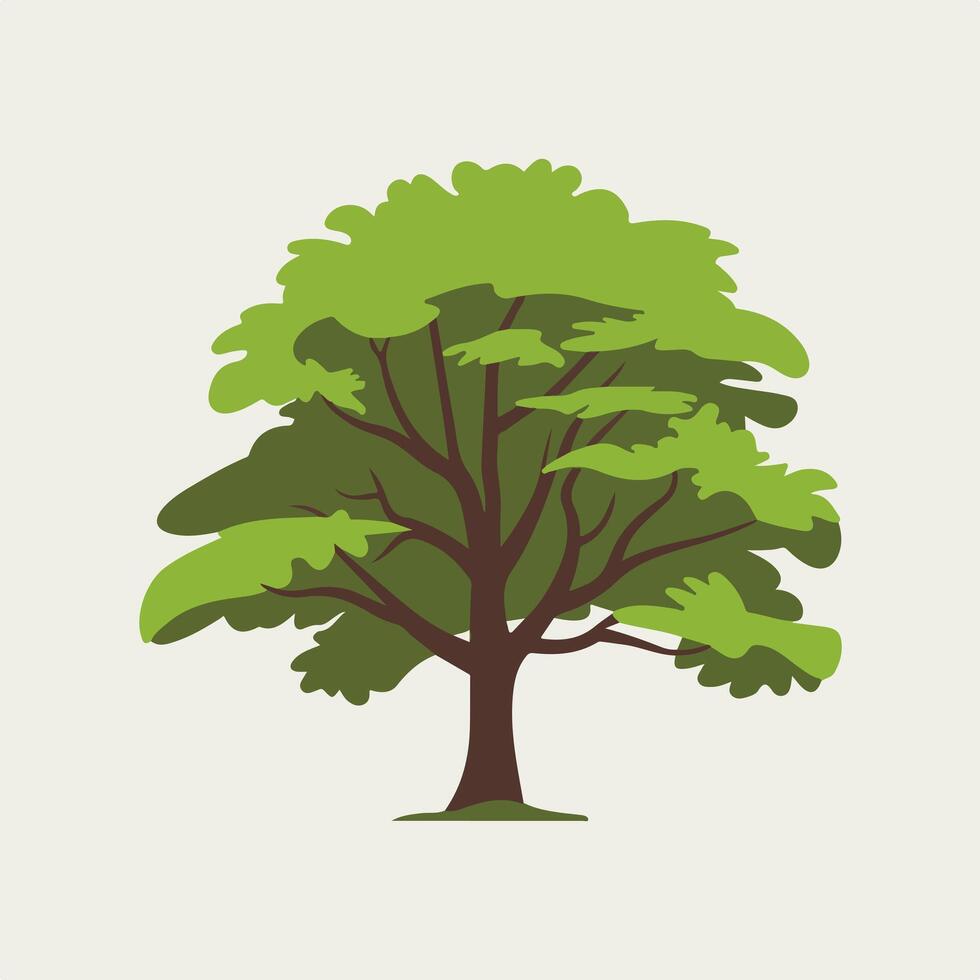 A tree with green leaves isolated on a white background vector