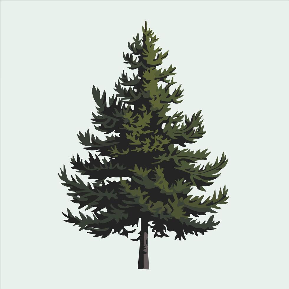 A pine tree isolated on a white background vector