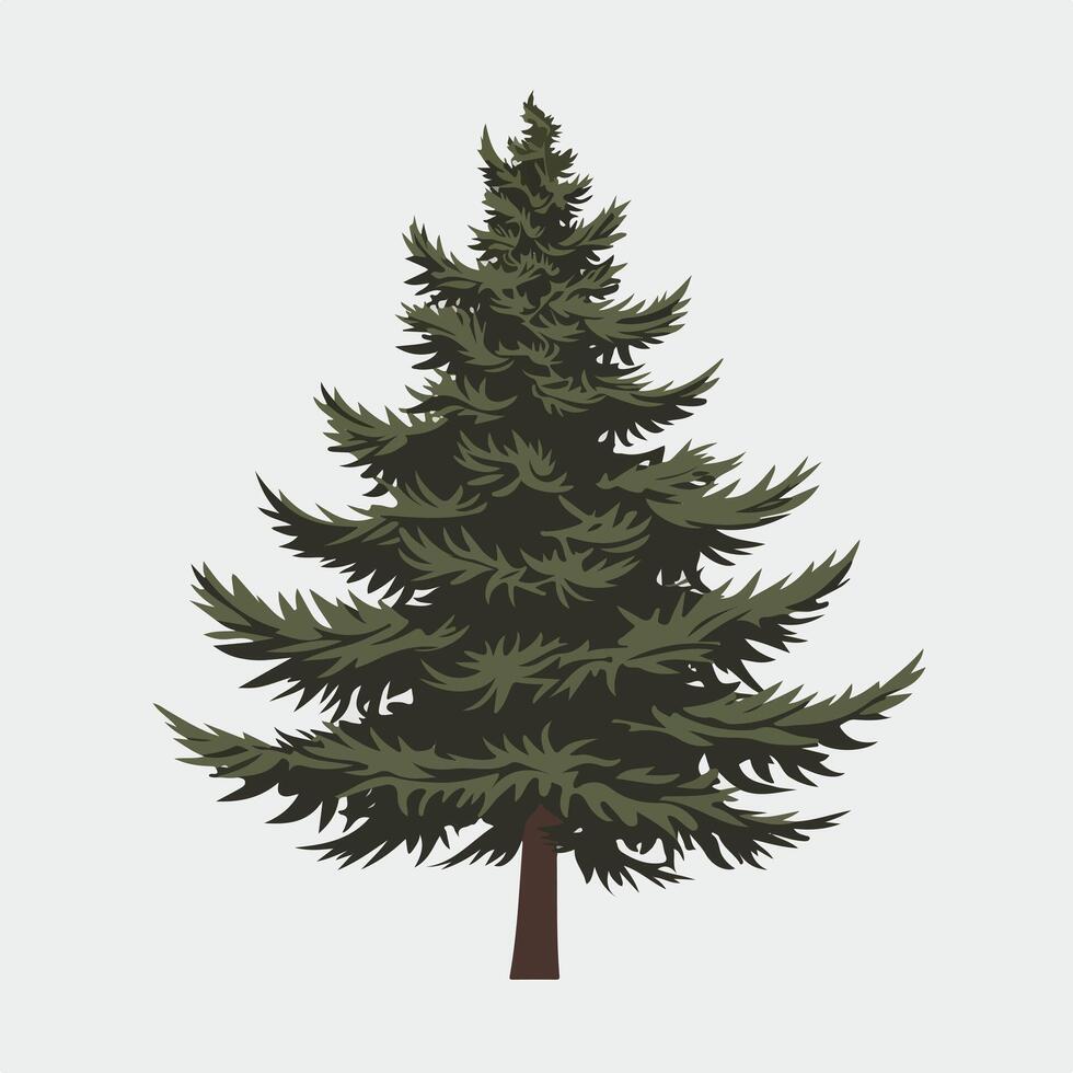 A pine tree on a white background vector