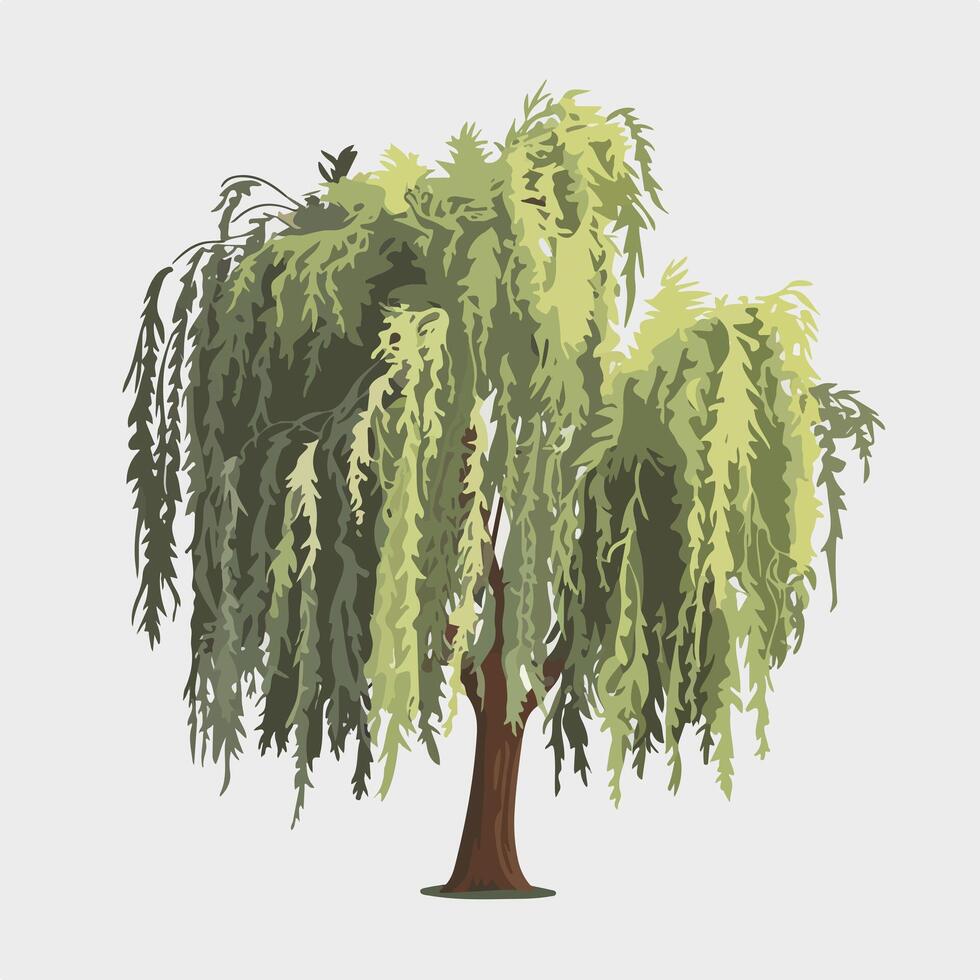 Elegant Flat Willow Tree on a Blank White Space vector