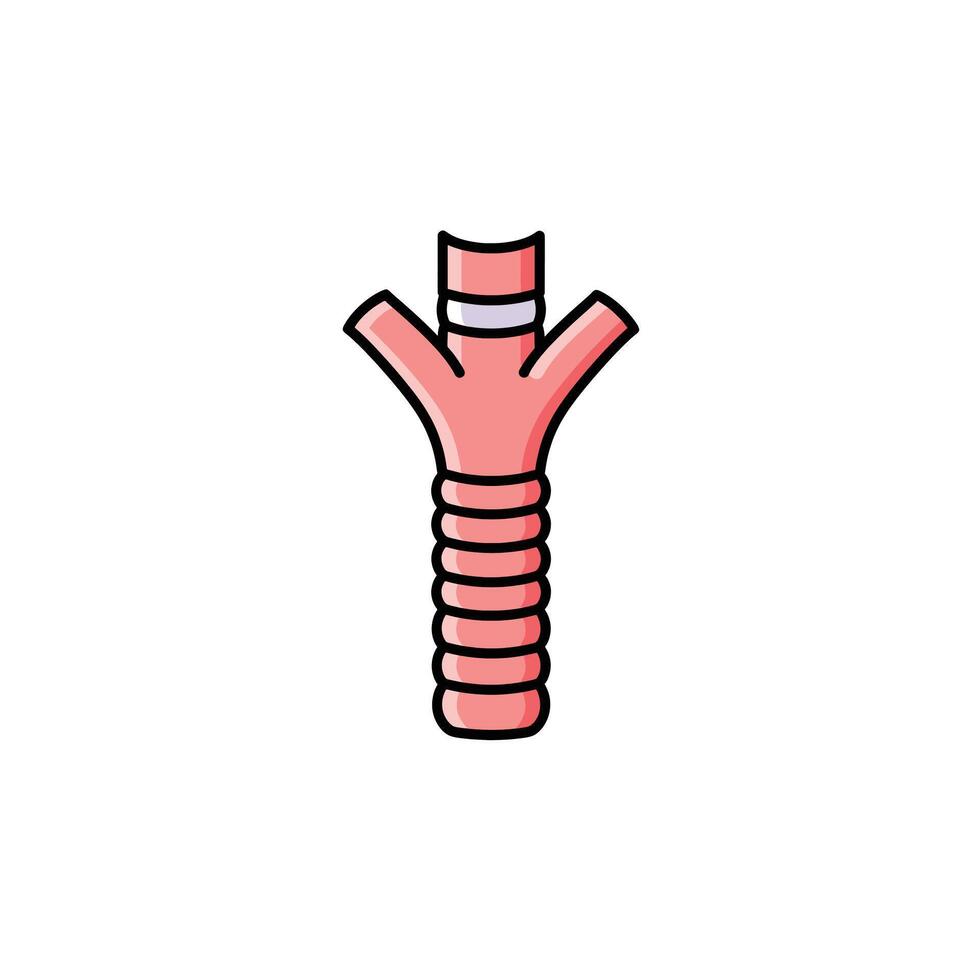 Illustration of a Section of the Human Respiratory System Specifically a Bronchus With a Band. vector