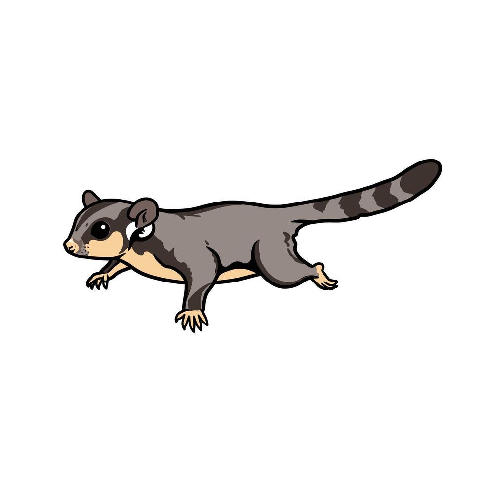 Sugar Glider Gliding on a White Background vector