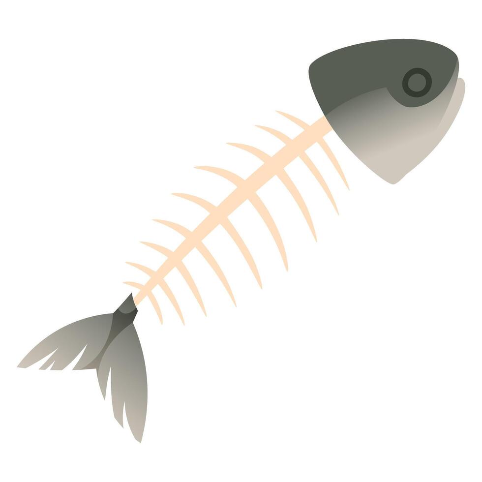 Fish bone with head and tail. Fish skeleton, backbone, fish spine. Organic waste, eaten fish, fish remains. vector