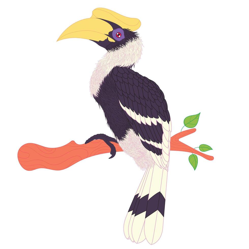 Elegant Hornbill Perched on Branch showcasing exotic wildlife perfect for nature and tropical design vector