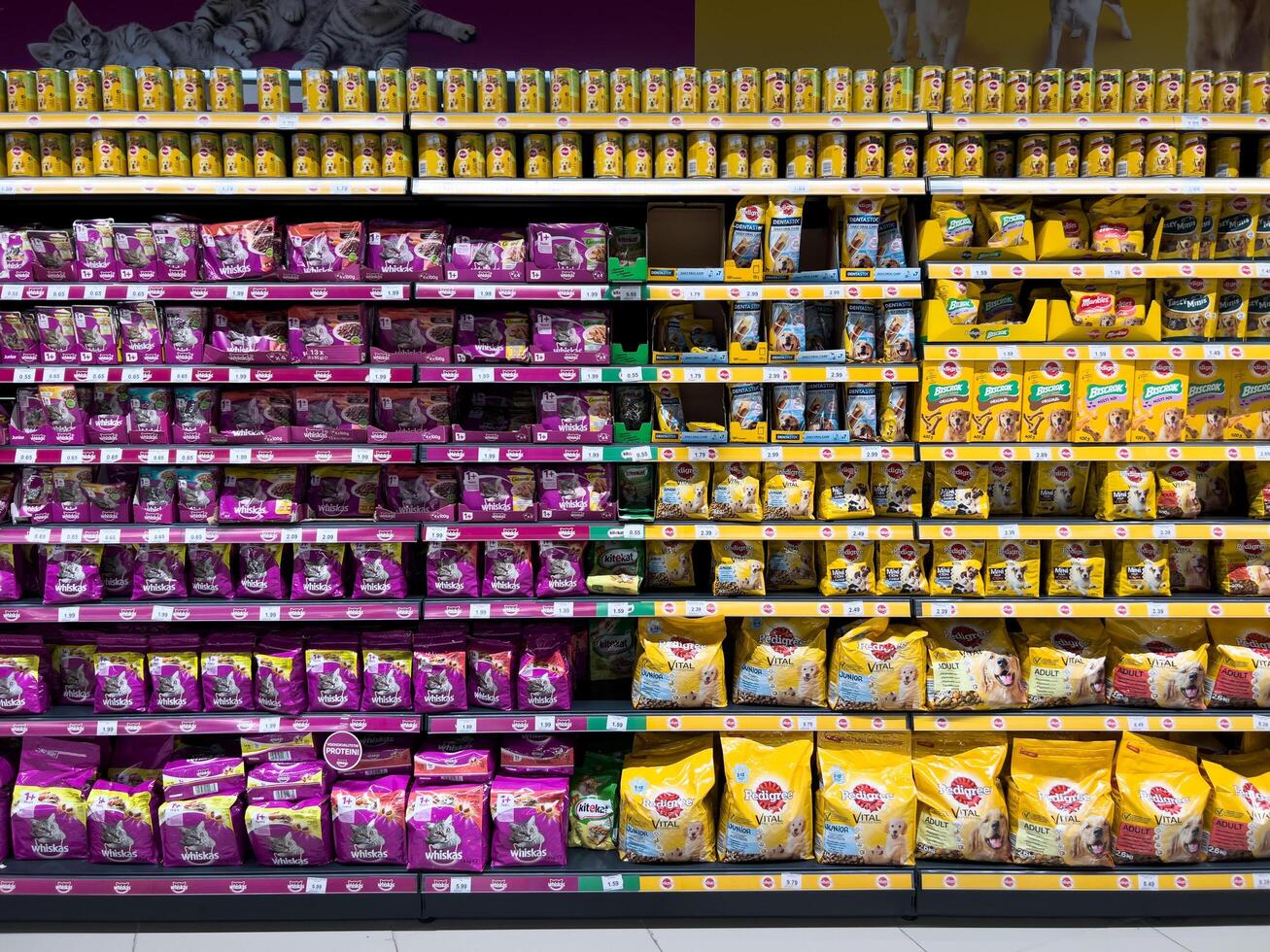 Budva, Montenegro - 01 november 2023. Dry and canned food for dogs and cats is on the shelves of the supermarket photo