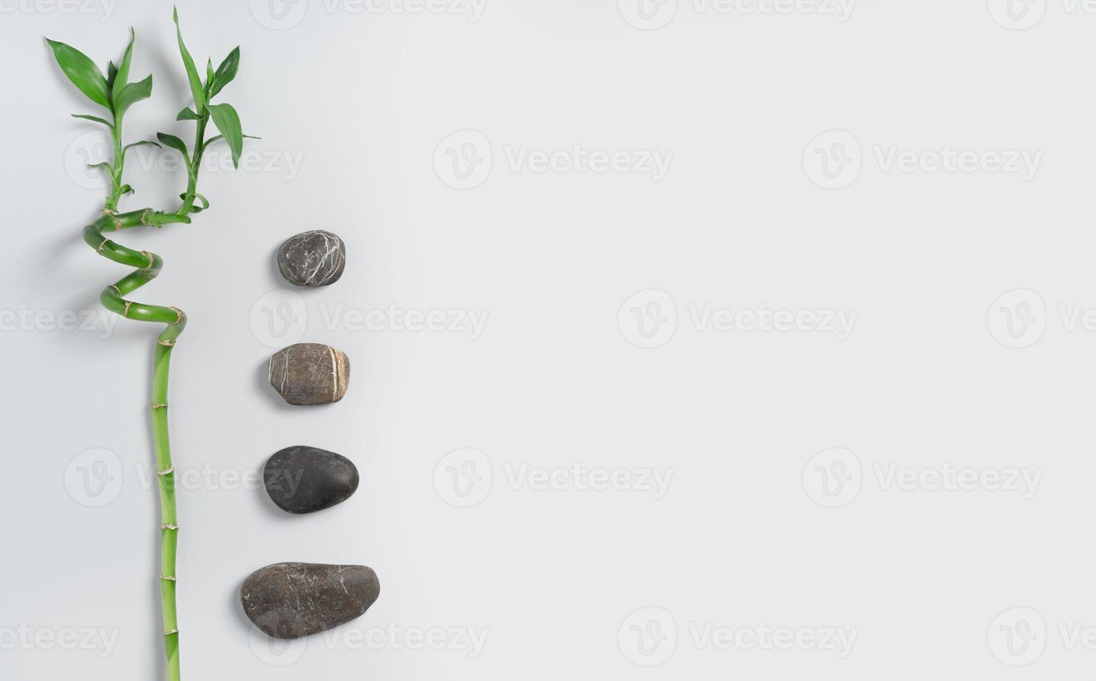 Bamboo branches, spa stones on gray background, top view. Copy space flat lay. photo