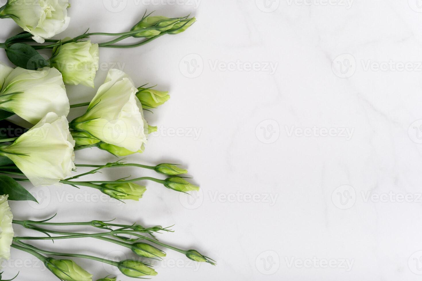 Fresh green colors on a natural stone table, white marble background with copy space, flat lay top view photo
