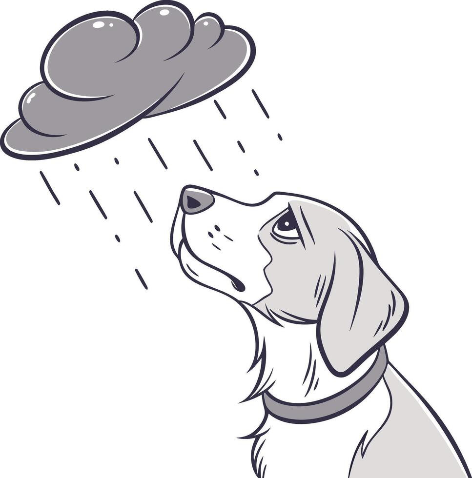 Dog looking at clouds vector