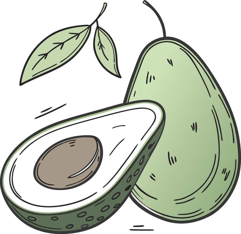 Avocados, both whole and sliced, accompanied by verdant leaves vector