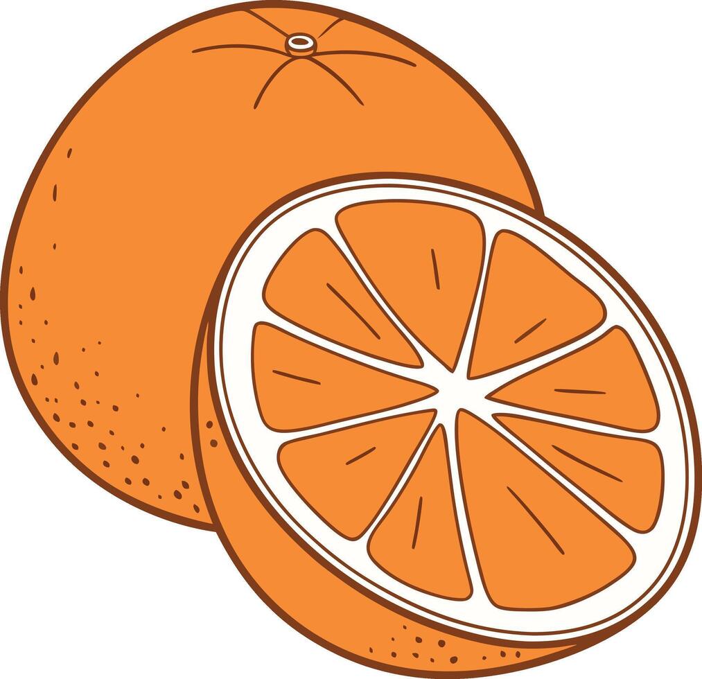 Orange, presented whole and halved vector