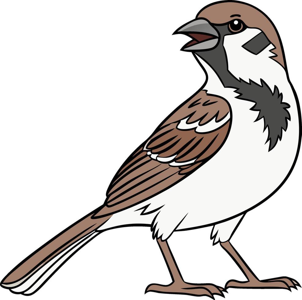 Sparrow with a cheerful expression vector