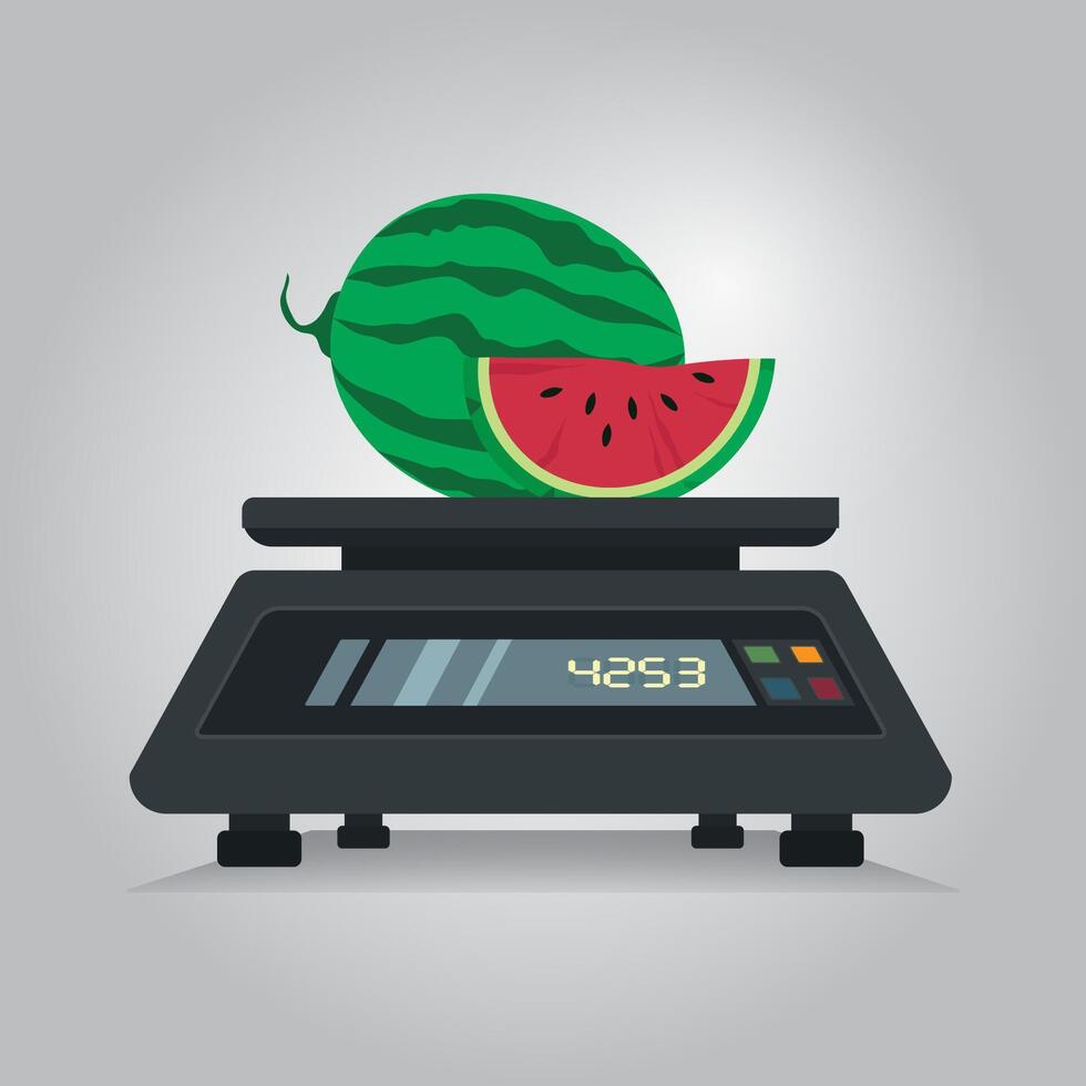 Weight of watermelon fruit on a digital scale illustration vector