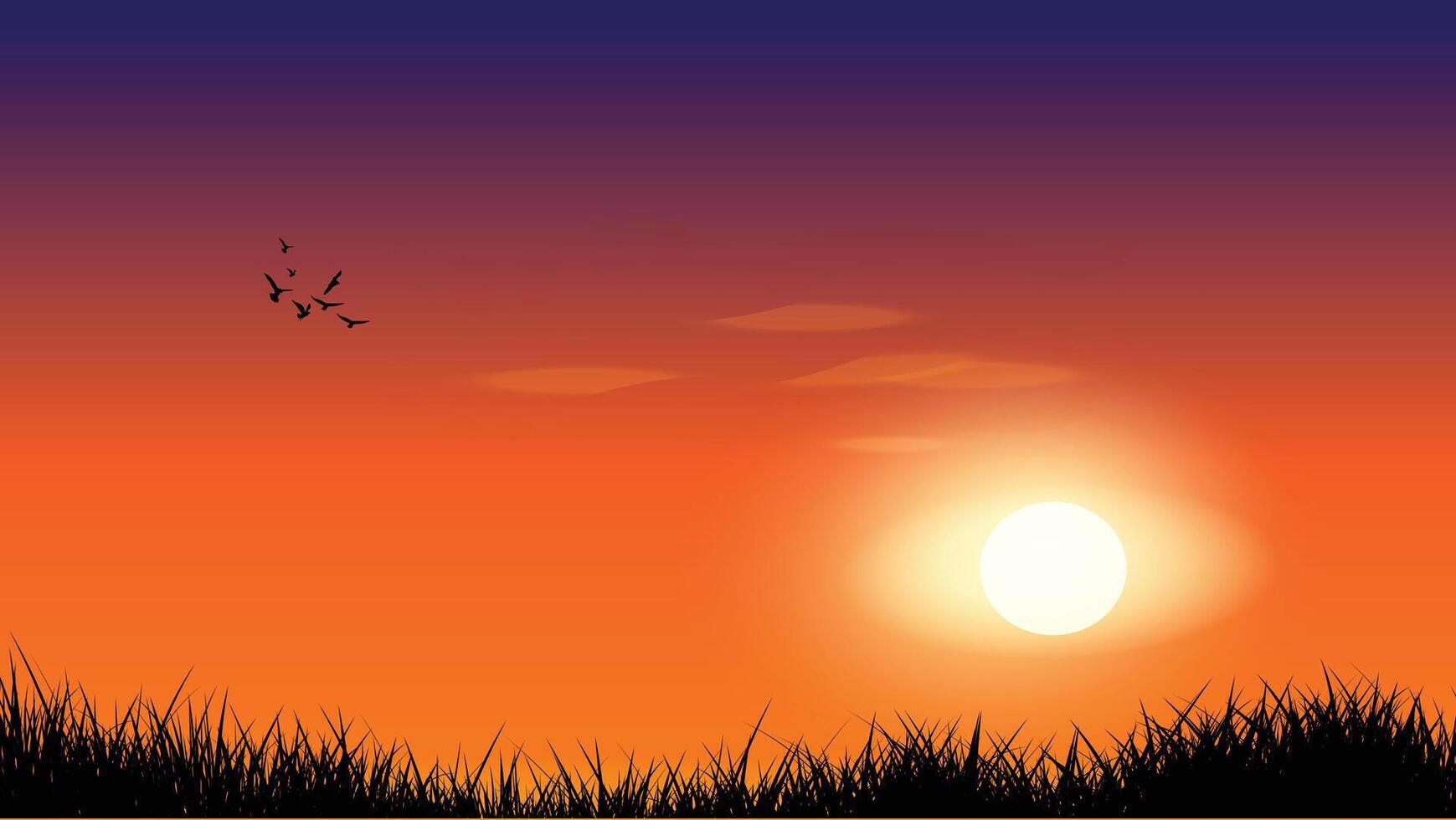 Sunset landscape with grass field and flying birds, representing peaceful nature and tranquil atmosphere vector
