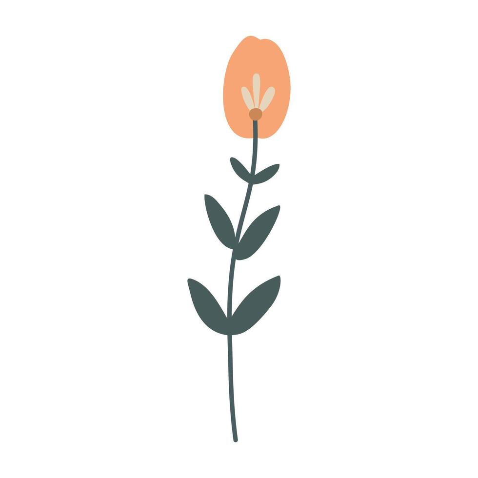Colored flower with leaves vector