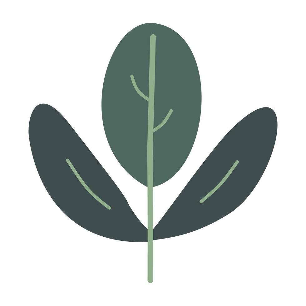 green leaf on a white background vector