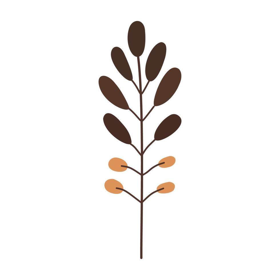 a plant with leaves and seeds on a white background vector