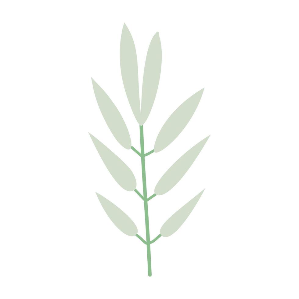 a green plant with leaves on it vector