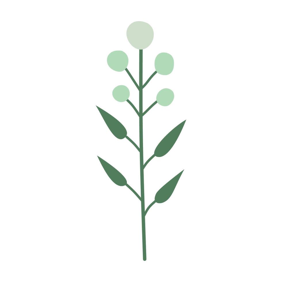 a green plant with leaves and flowers on a white background vector