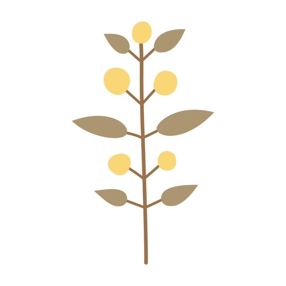 a plant with yellow berries on it vector