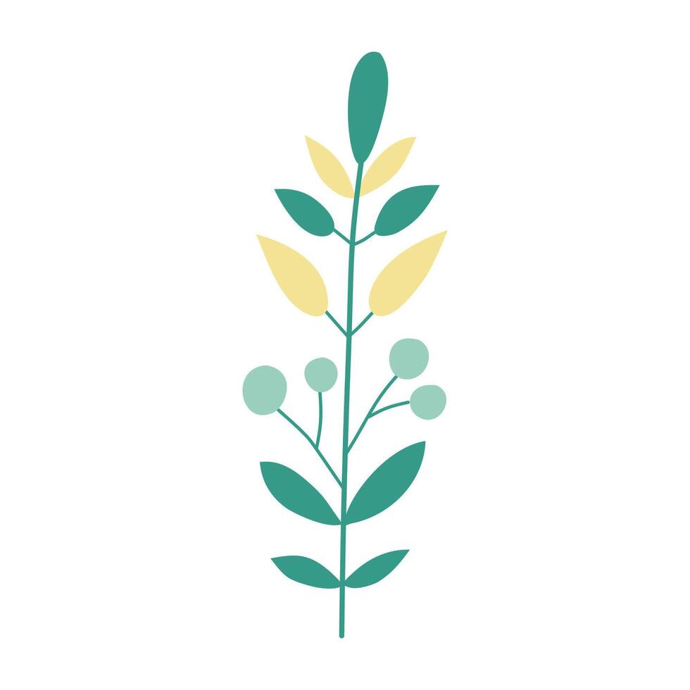 a green plant with leaves and berries on a white background vector