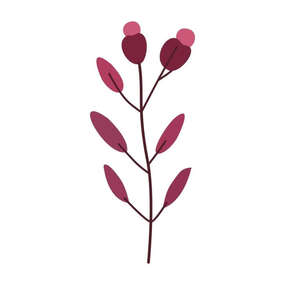 plant with leaves and flowers on a white background vector
