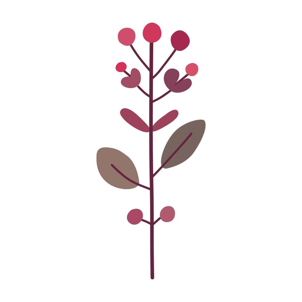 a plant, leaves and berries on a white background vector