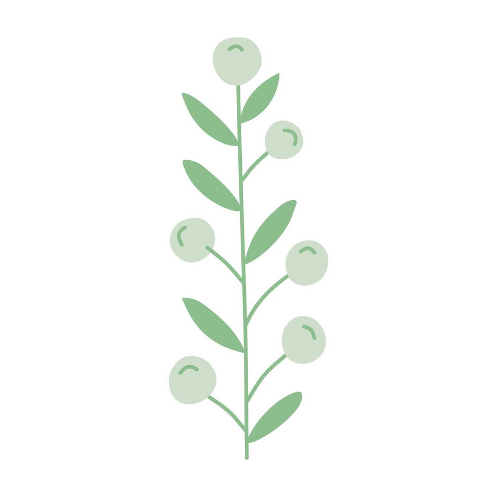 a green plant with berries on it vector