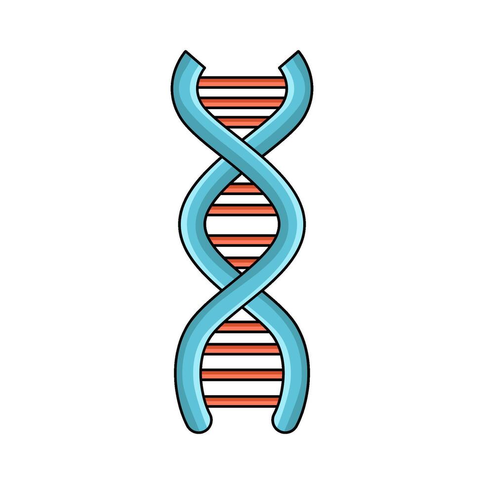 DNA Strand illustration vector