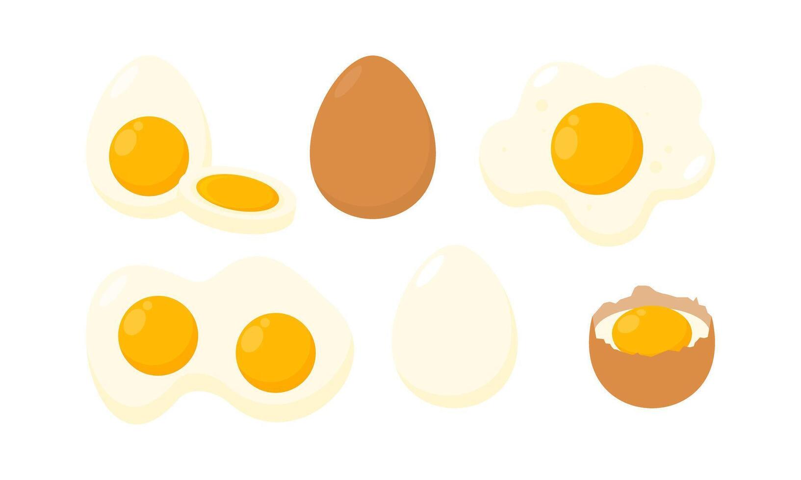 Set of Different Cooked Eggs and Shell Cartoon Illustration vector