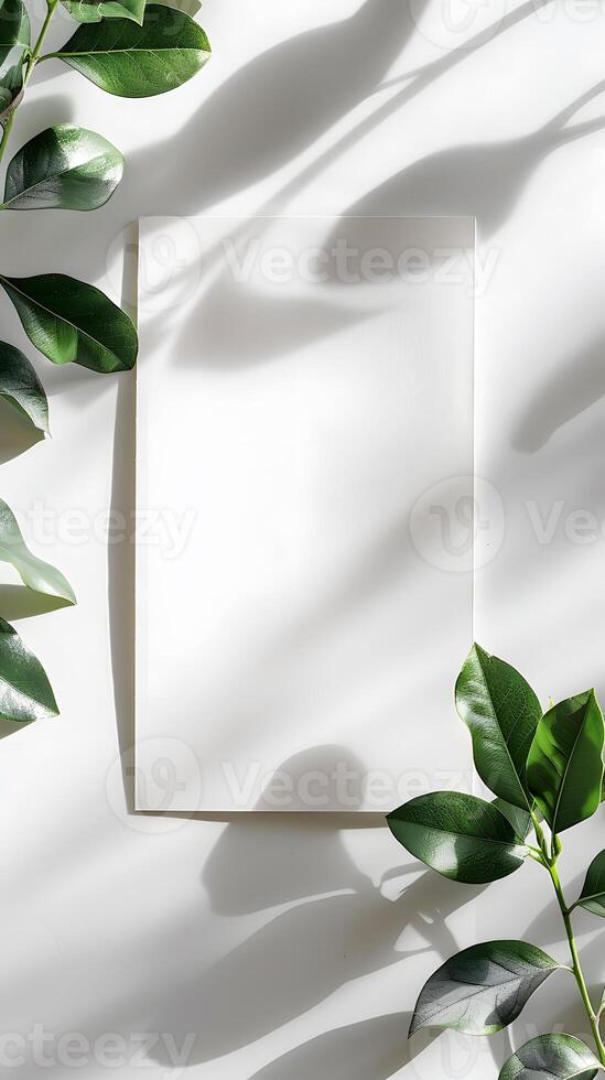 Minimalist White Background with Green Leaves and Shadows photo