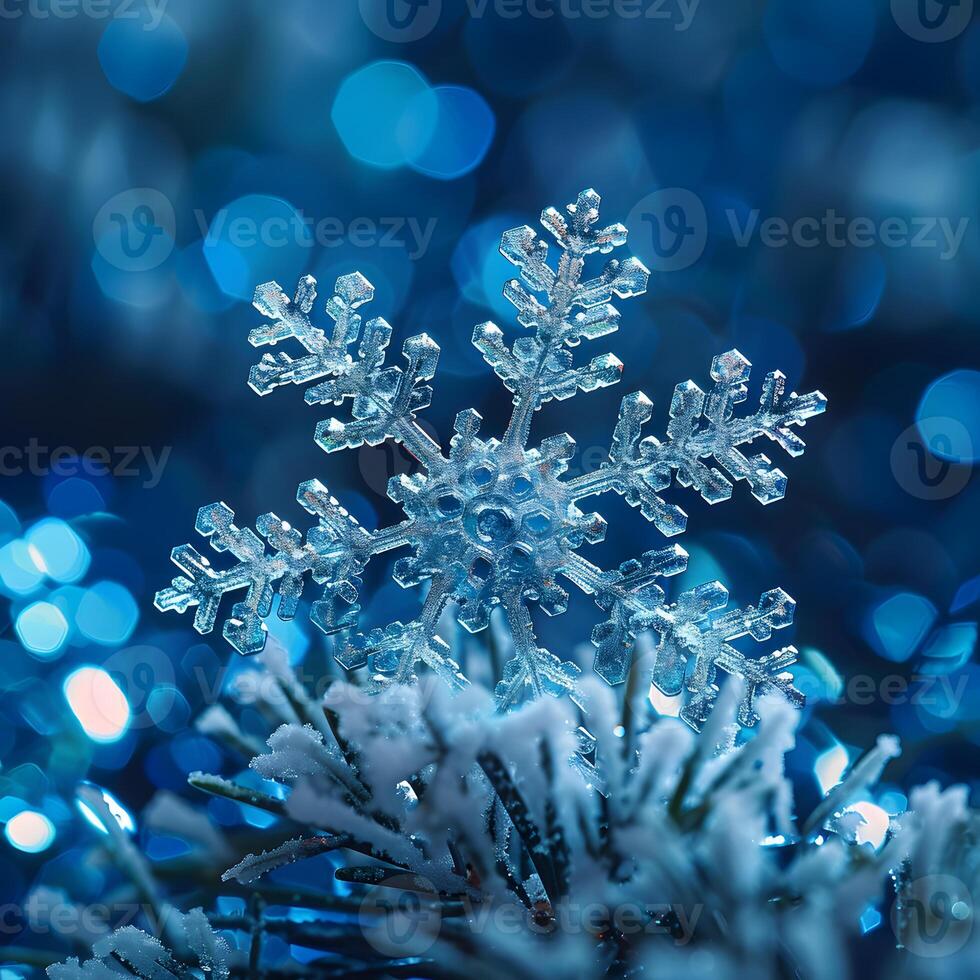 A snowflake rests on a snowy twig atop a tree branch photo