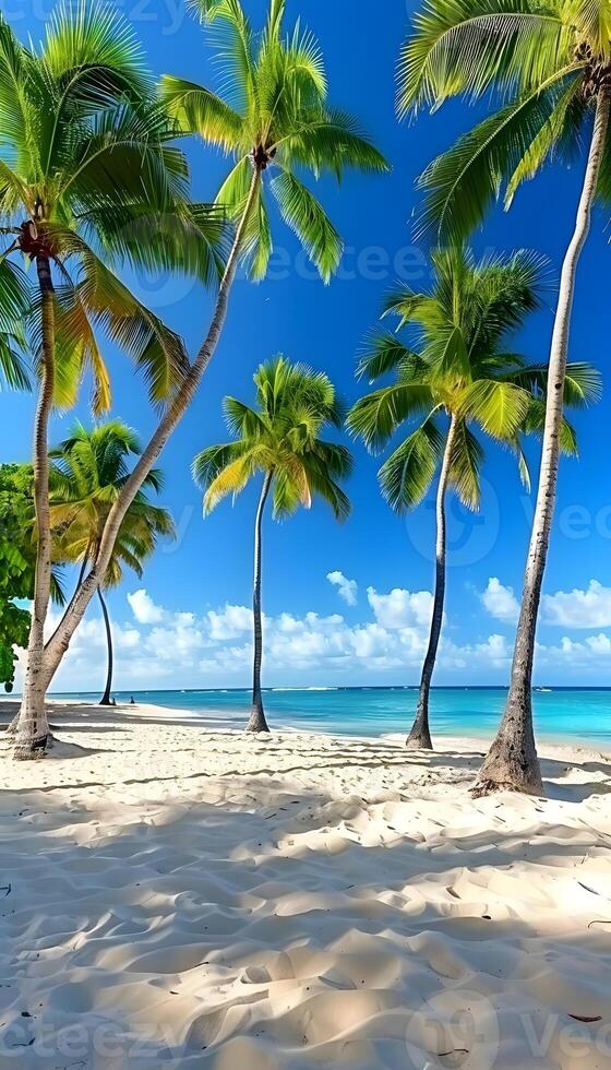 Sunny coastal beach with palm trees under a clear blue sky photo