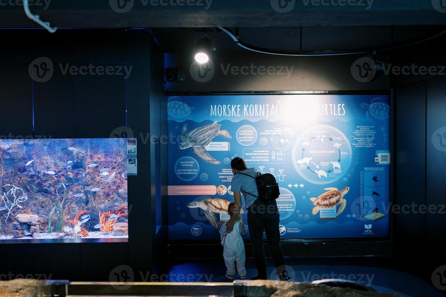 Mother and little girl look at an illuminated sign with sea turtles. Back view photo