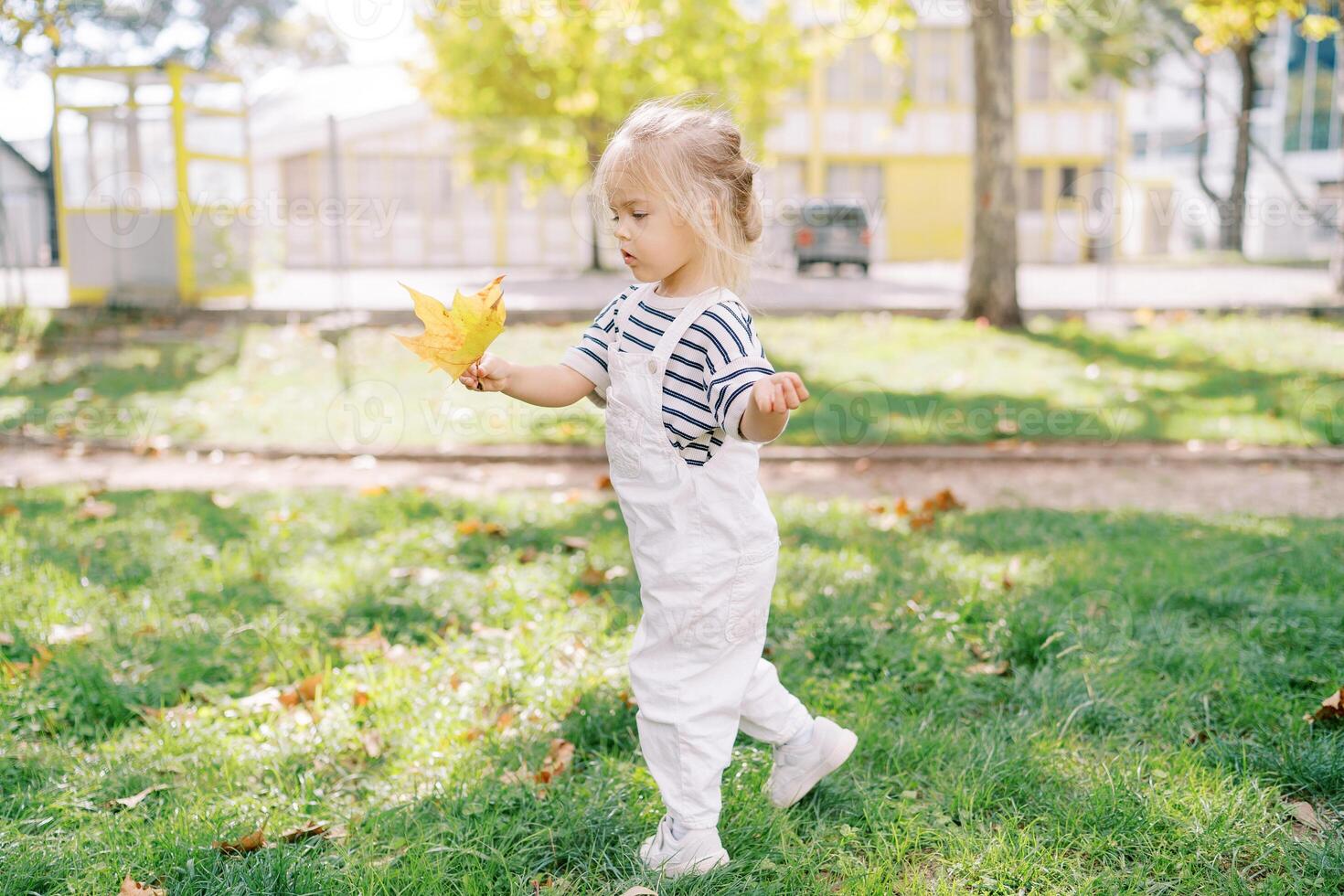 Little girl with yellow sycamore leaves in her hand walks through a sunny park, balancing with her hand photo