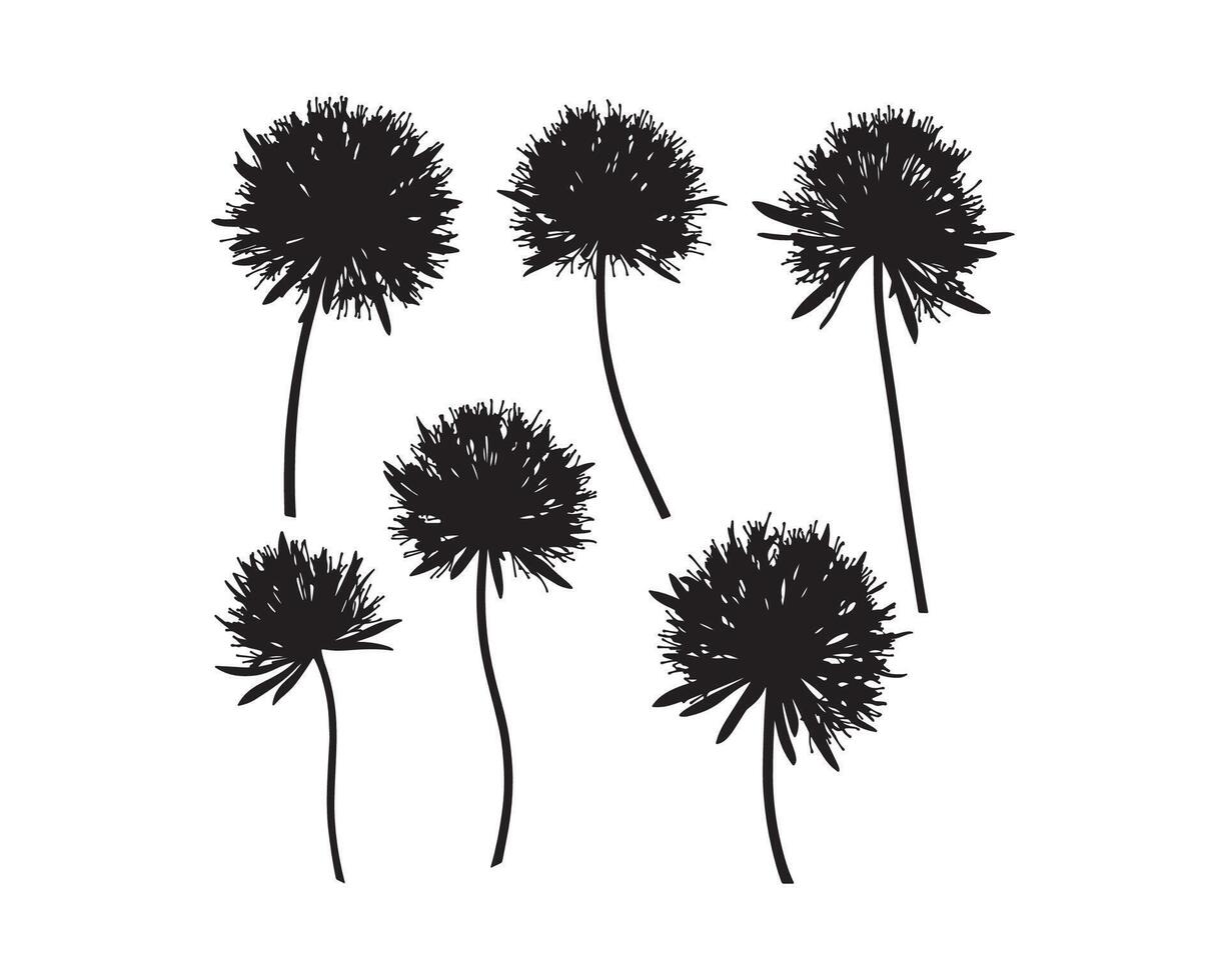 Trendy modern silhouettes daisy flower design. vector