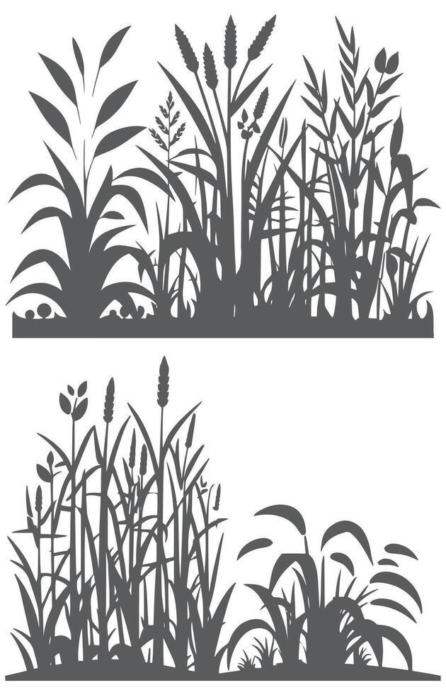 silhouettes of grass and plants on a white background vector