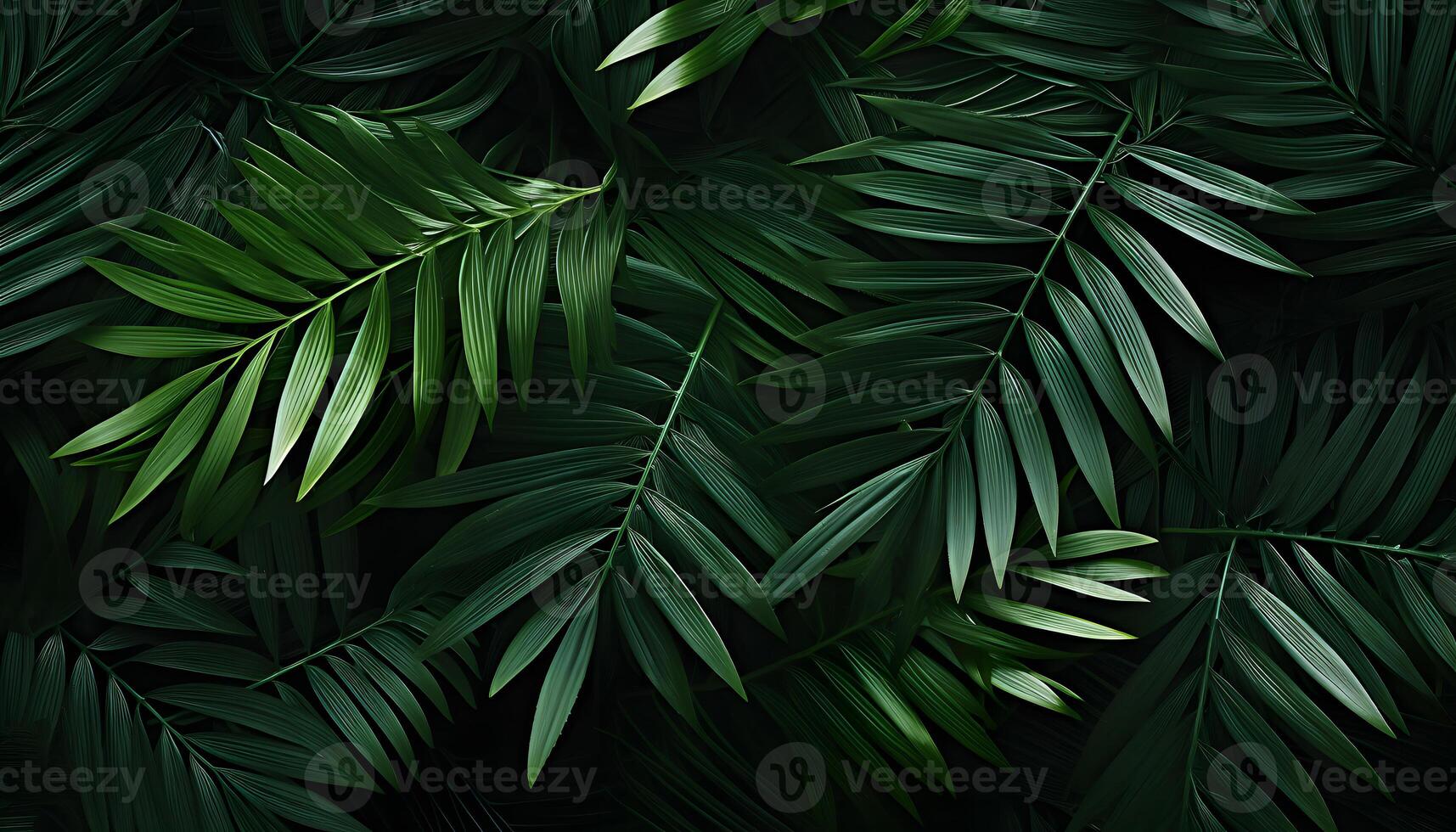 Emerald Elegance. A Macro View of Lush Green Palm Leaves photo