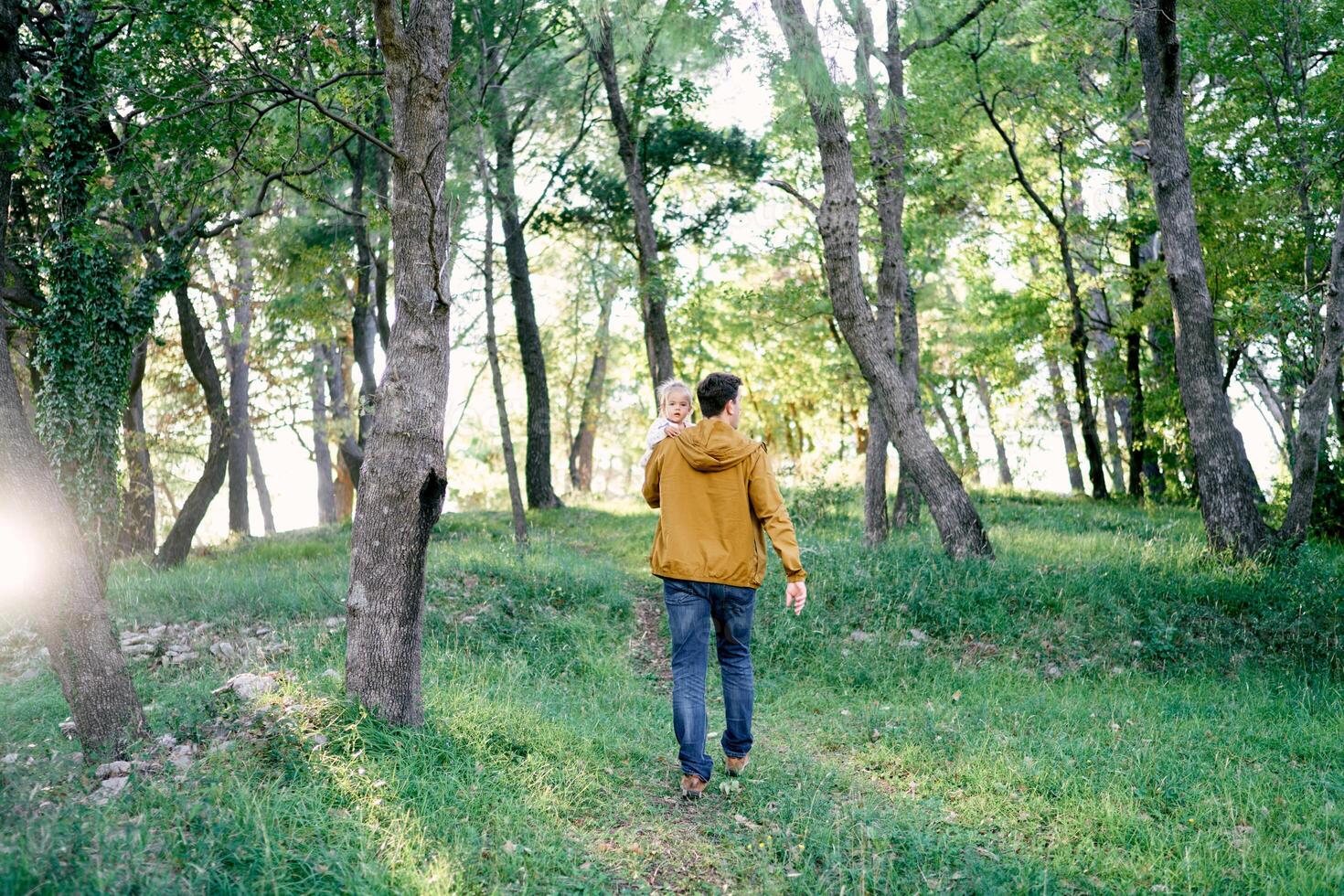 Dad with a little girl in his arms walks through the sunny forest. Back view photo