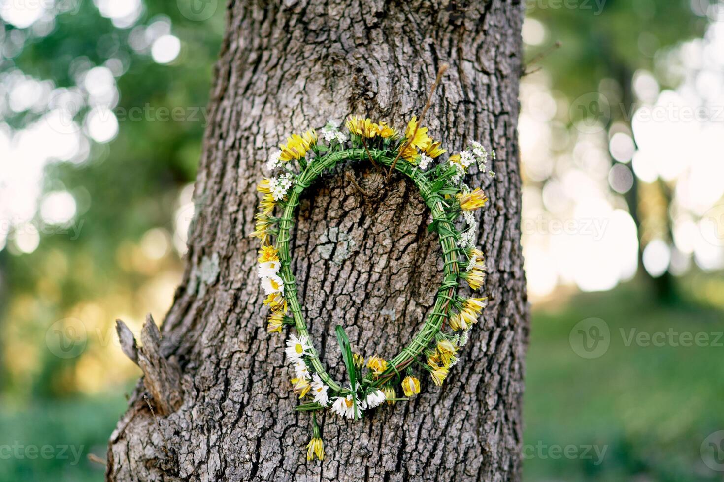 Wreath of yellow dandelions hangs on a tree trunk photo