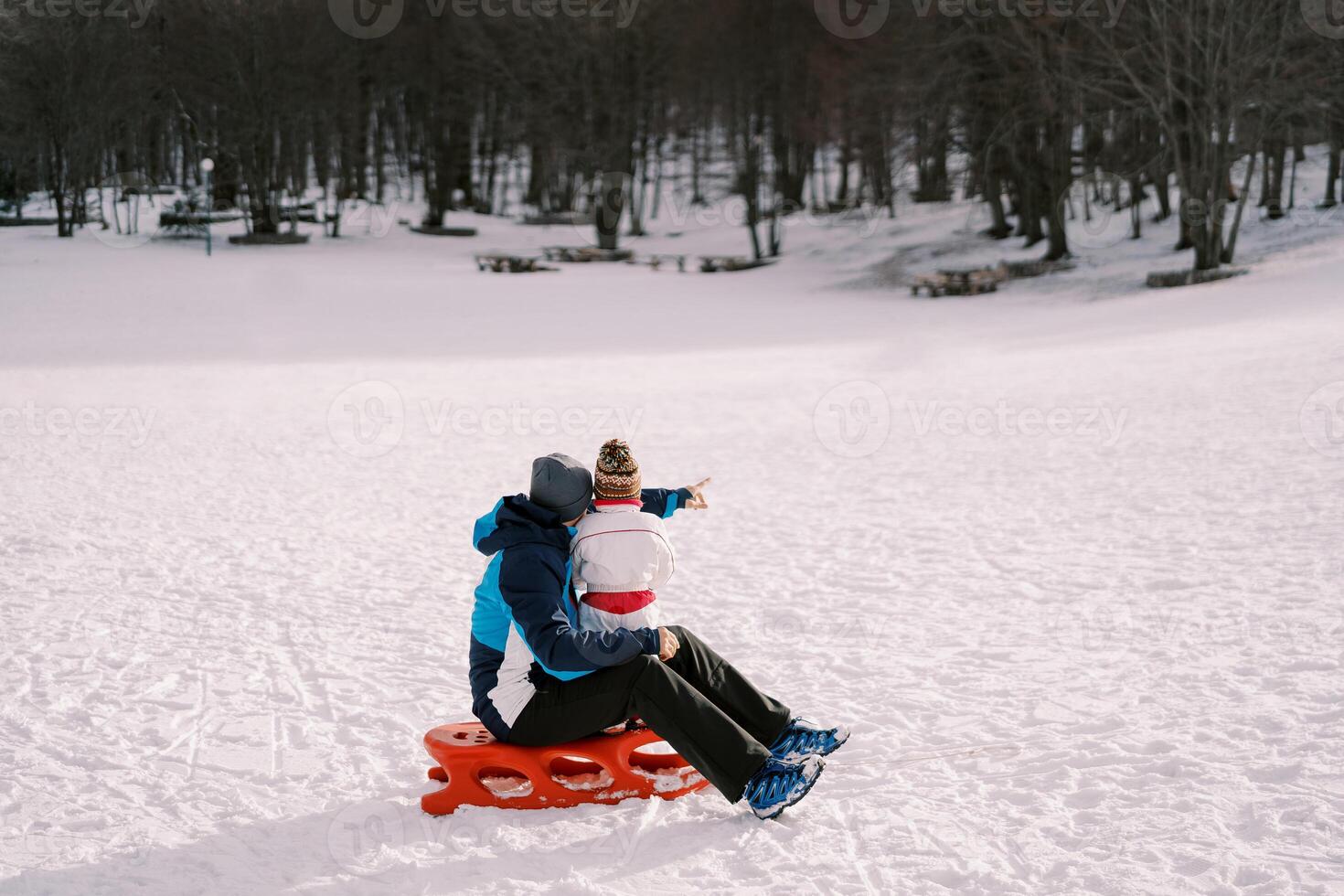 Dad with a small child sits on a sled on a snowy plain and points towards the forest. Back view photo