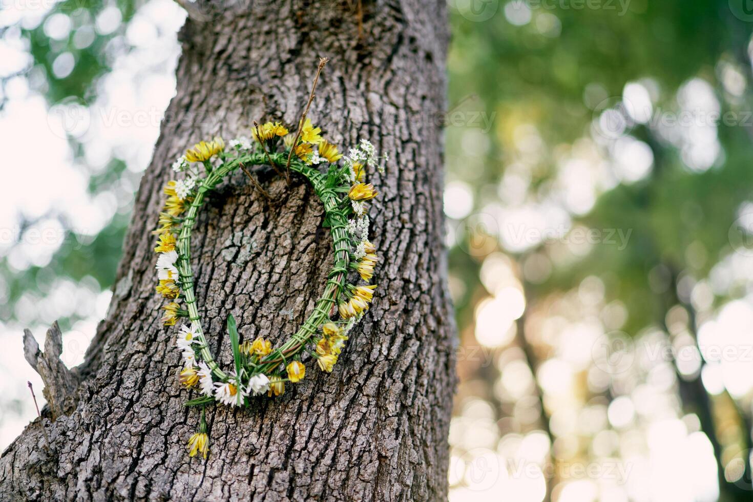 Wreath of yellow dandelions hangs on a tree in the forest photo