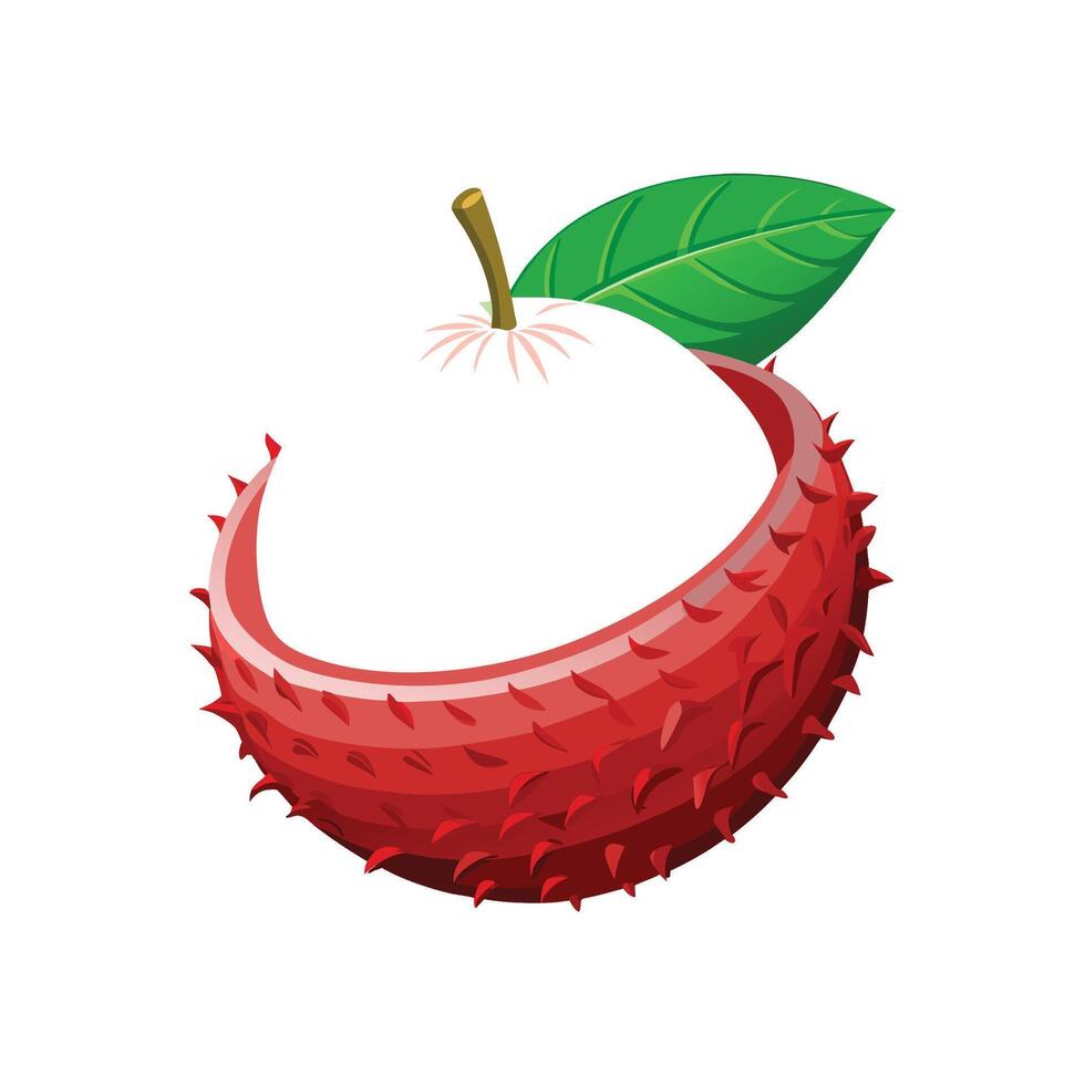Nutritious Rambutan Mash on White Background vector